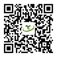 鑫希旺食品 鑫希旺食品