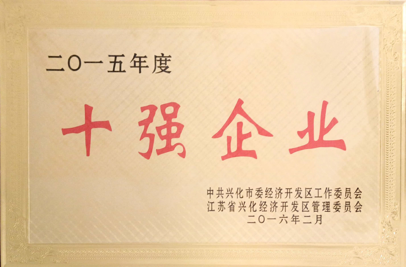 十强企业