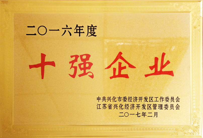 十强企业