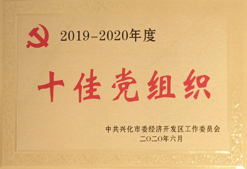 十佳党组织