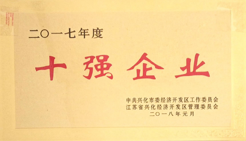十强企业